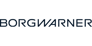 Pilt tootja BORGWARNER (BERU)