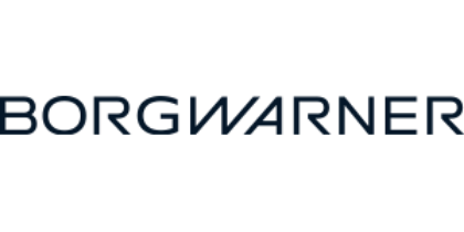 Pilt tootja BORGWARNER (BERU)