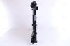Radiator, engine cooling AUDI Q7    15-