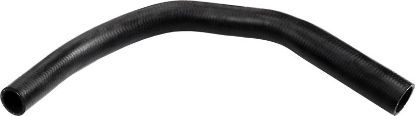Radiator Hose 3822