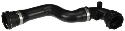 Radiator Hose BMW