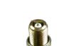 Spark Plug 6991 - Racing Spark Plug