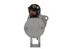 Starter +Line Ursus 2.7 kw