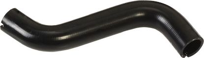Radiator Hose Fiat