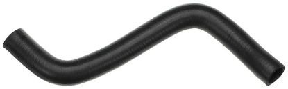Radiator Hose Chevrolet