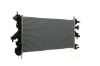 Radiator, engine cooling FIAT DUCATO (METANO)