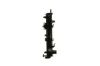 Radiator, engine cooling FIAT DUCATO (METANO)