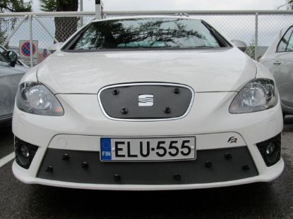 Trim/Protection Strip, radiator grille Seat Leon FR 2011-