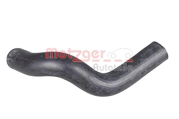 Radiator Hose Mazda