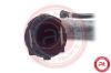 Radiator Hose BMW F25