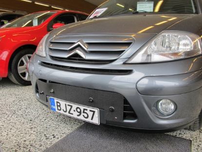 Trim/Protection Strip, radiator grille Citroen C3 2005-2009
