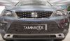 Trim/Protection Strip, radiator grille Seat Ateca 16-19