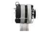 Alternator +Line Citroen / Peugeot 55A