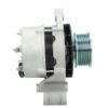 Alternator Prestolite New 66021491