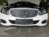 Trim/Protection Strip, radiator grille MB E-klass 2013-2016 Avantgarde/Premium Business