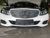 Trim/Protection Strip, radiator grille MB E-klass 2013-2016 Avantgarde/Premium Business