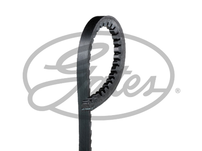 V-Belt 12.5 x1500La - AVX13X1500HD