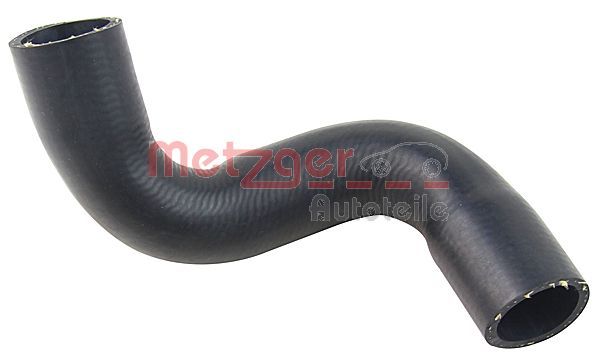 Radiator Hose BMW