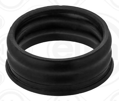 Gasket, coolant pipe Fiat