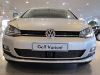Trim/Protection Strip, radiator grille VW Golf 7 2012-2017, ees anduriga