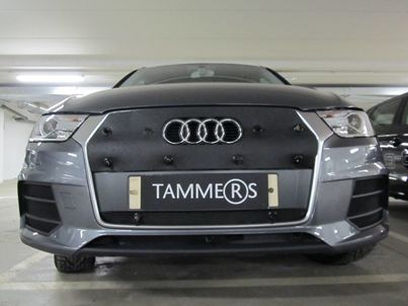 Trim/Protection Strip, radiator grille Audi Q3 2015-