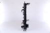 Radiator, engine cooling DACIA DUSTER    10-