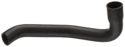 Radiator Hose JEEP Wrangler 52003905