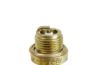Spark Plug 2910 - MURUNIIDUK Standard