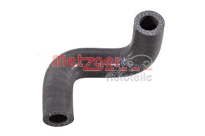 Oil Hose Alfa Romeo