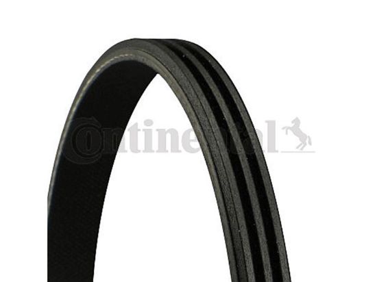 V-Ribbed Belt LEXUS IS I (JCE1_, GXE1_)