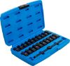 Oil Sump Wrench Set 3/8" Õlikorgi võtmete komplekt 21 osa