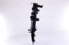 Radiator, engine cooling RENAULT LAGUNA 3.0 DCI  07-