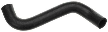 Radiator Hose MB 2465010282
