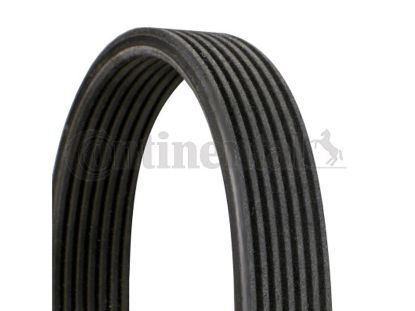 V-Ribbed Belt SHARAN (7M8, 7M9, 7M6), GALAXY (WGR)