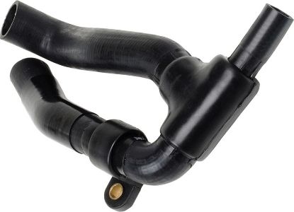 Radiator Hose 3810
