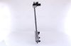 Radiator, engine cooling NISSAN MICRA K13   10-