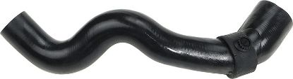 Radiator Hose 3580