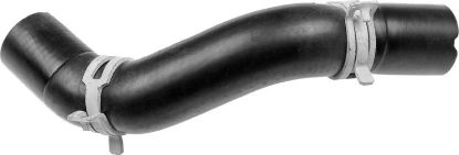 Radiator Hose FORD 1717636/2402065