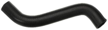 Radiator Hose 22507