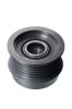 Alternator Freewheel Clutch GM