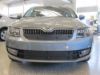 Trim/Protection Strip, radiator grille Skoda Octavia 2013-2017