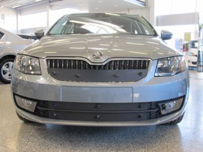 Trim/Protection Strip, radiator grille Skoda Octavia 2013-2017