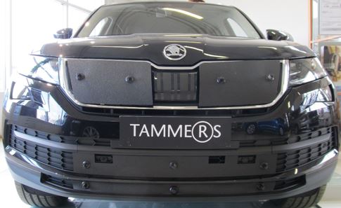 Trim/Protection Strip, radiator grille Skoda Kodiaq 2,0 TDI 2017-