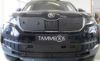 Trim/Protection Strip, radiator grille Skoda Kodiaq 2,0 TDI 2017-
