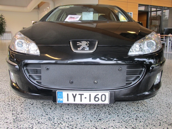 Trim/Protection Strip, radiator grille Peugeot 407 2008-2011