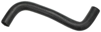 Radiator Hose 3556