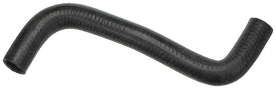 Radiator Hose 3556