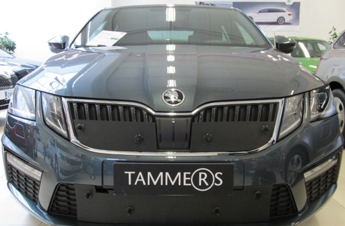 Trim/Protection Strip, radiator grille Skoda Octavia RS 2017-