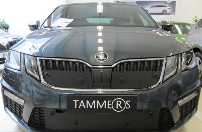 Trim/Protection Strip, radiator grille Skoda Octavia RS 2017-