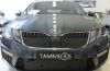 Trim/Protection Strip, radiator grille Skoda Octavia RS 2017-